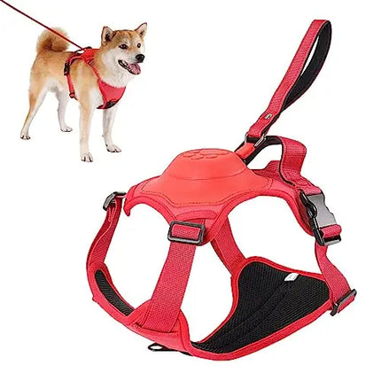 Dog Harness and Automatic Retractable Leash Kit