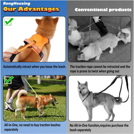 Dog Harness and Automatic Retractable Leash Kit