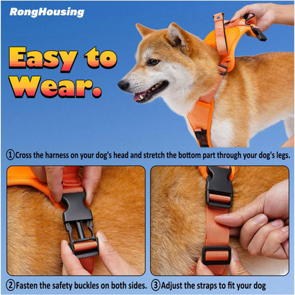 Dog Harness and Automatic Retractable Leash Kit