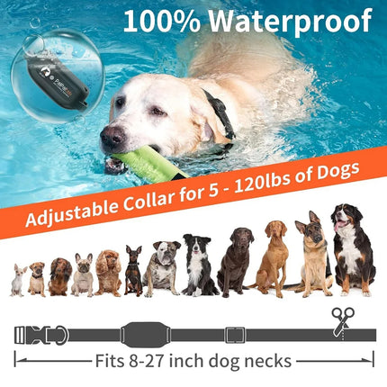 Dog Training Collar